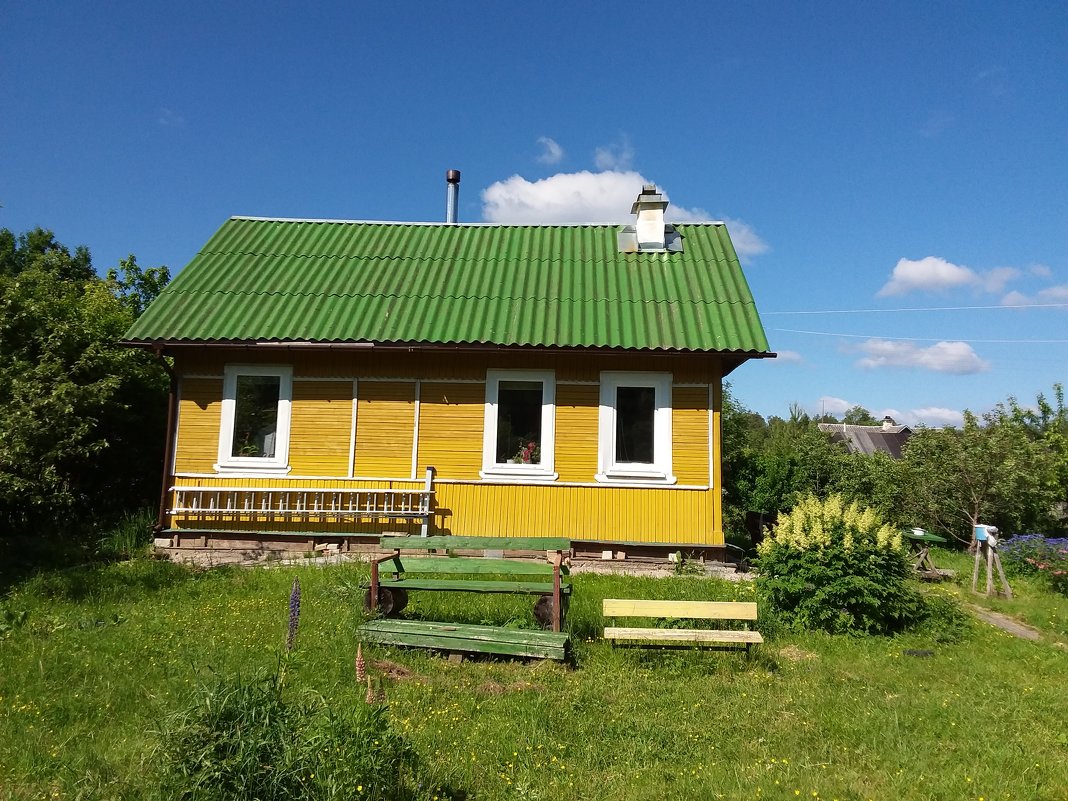 ДОМИК  В  ДЕРЕВНЕ - Виктор Елисеев