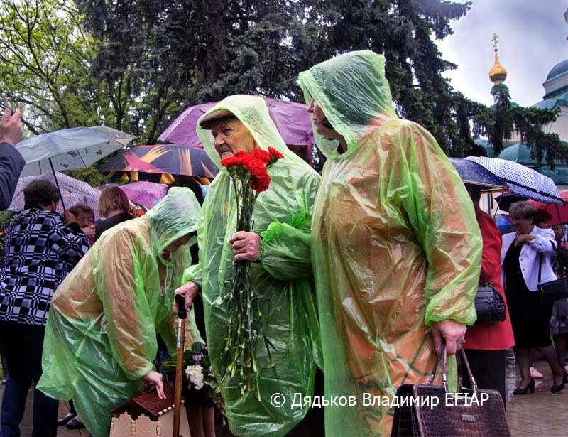 Цветы для ветерана Второй Мировой войны - Владимир Дядьков