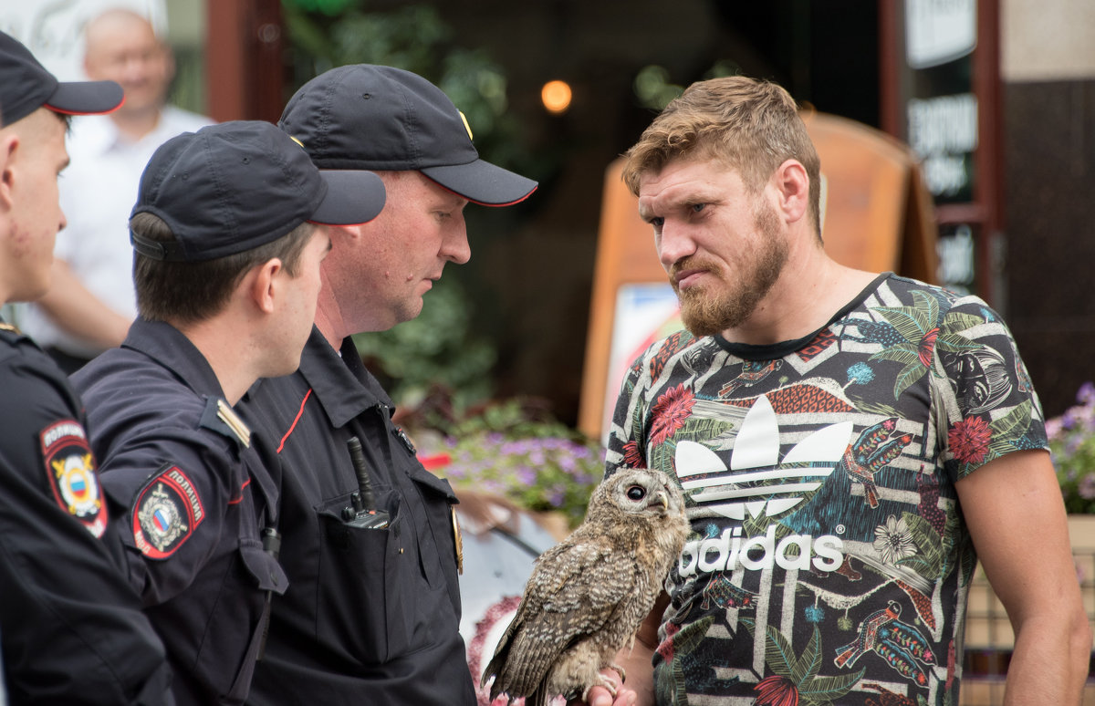 Остап Бендер. - Владимир Безбородов