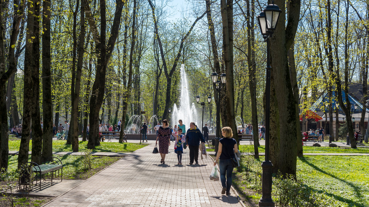 Фото Смоленского Парка