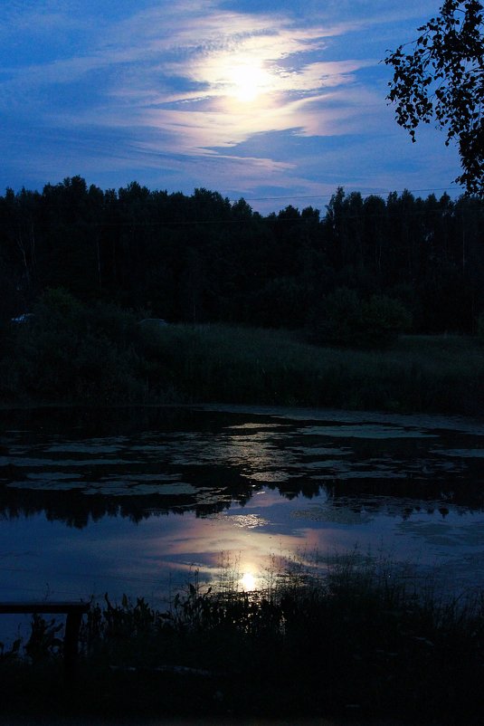 Ночное волшебство - Галина 