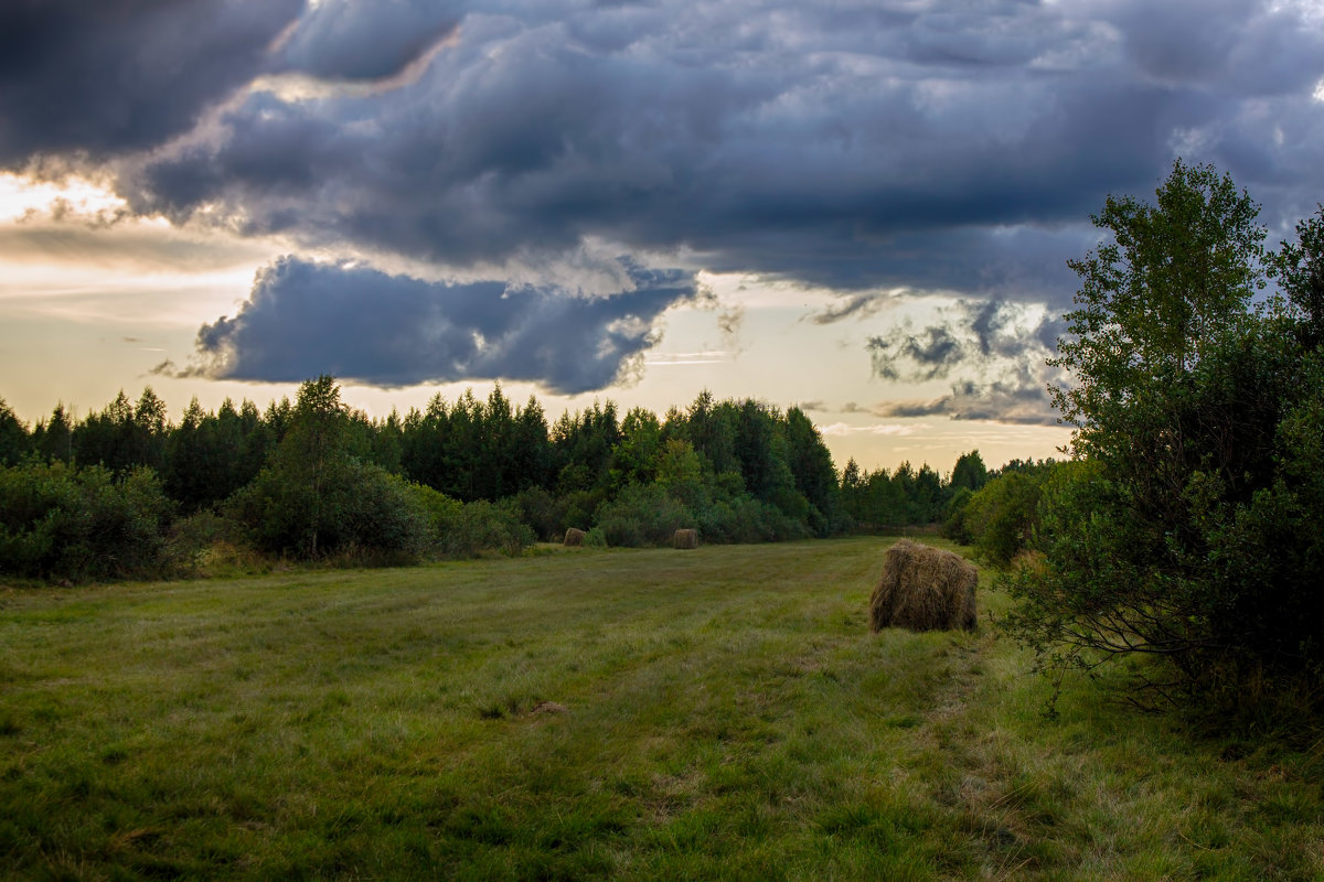 *** - Анжела Пасечник