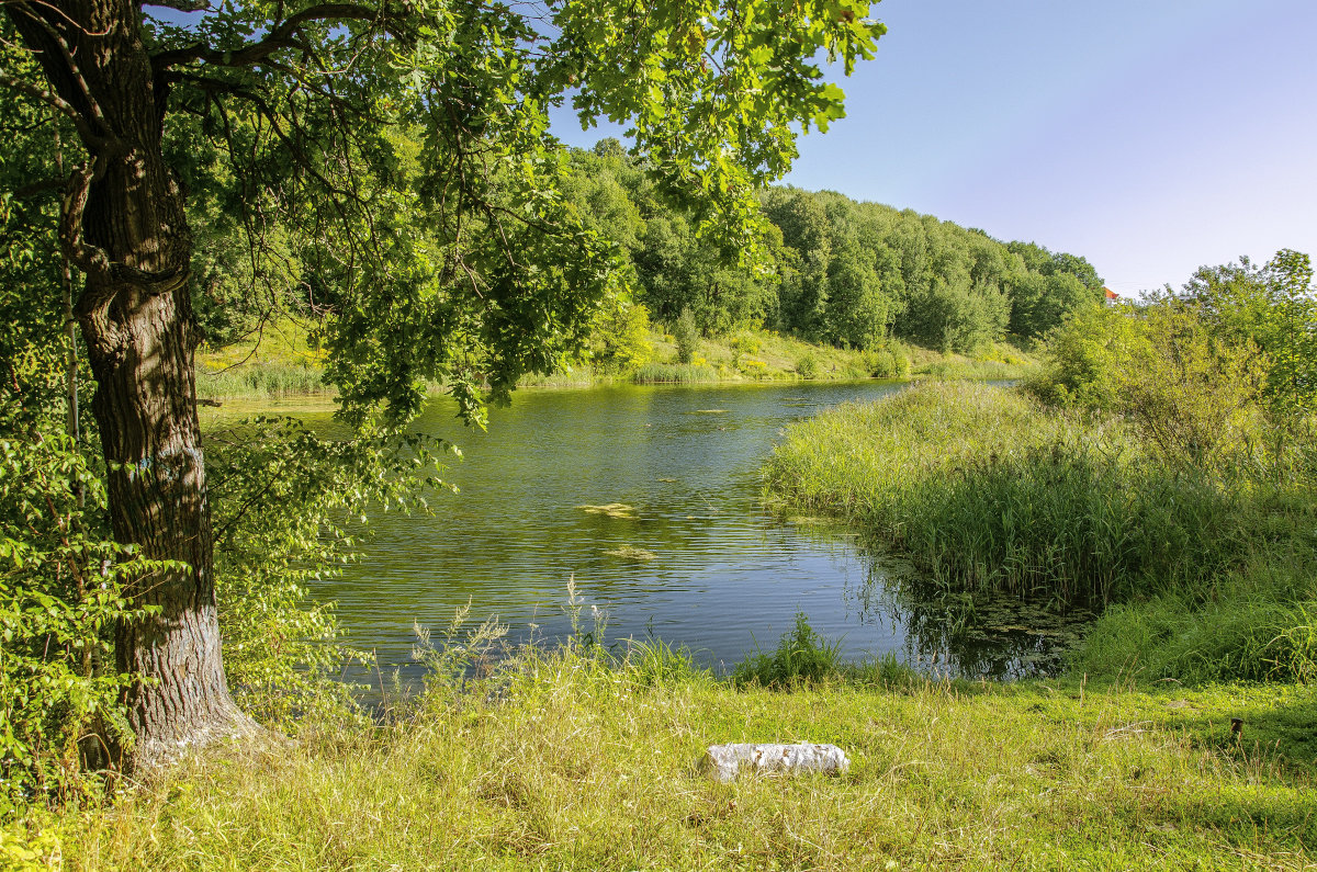 / - Виктор / - Виктор