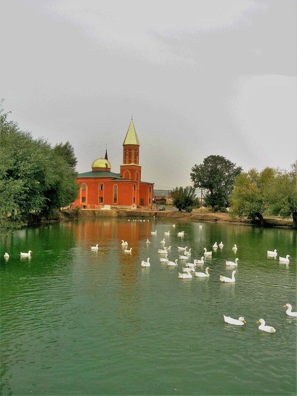 Деревенский пруд. - Венера Чуйкова Деревенский пруд. - Венера Чуйкова