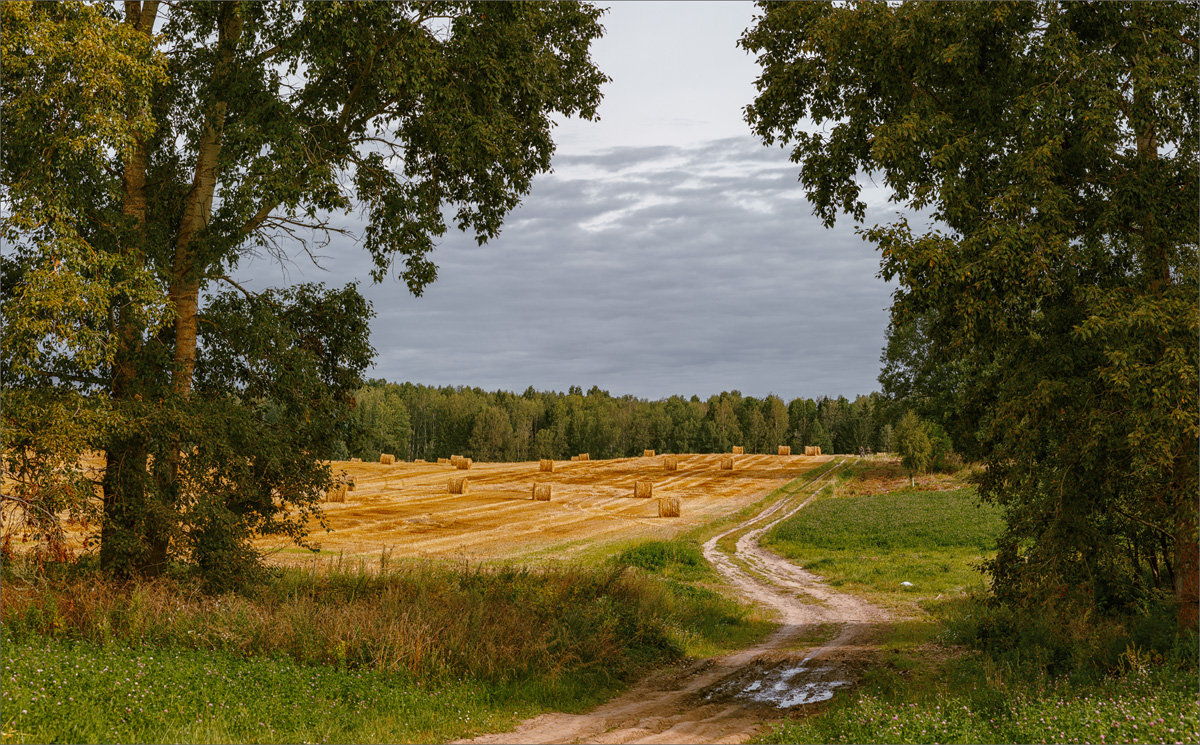 Картинка деревенская... - Александр Никитинский Картинка деревенская... - Александр Никитинский