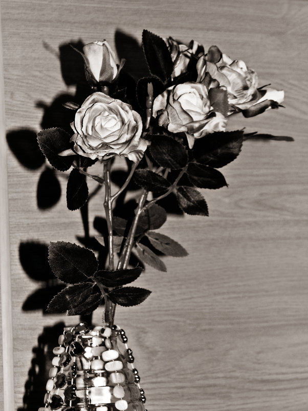 ... - Шура Еремеева