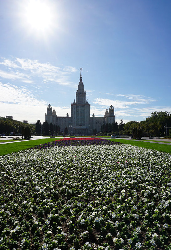 В лучах солнца ... - Лариса Корженевская