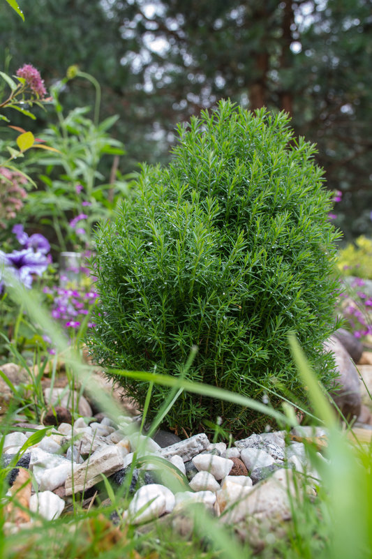 Мой маленький "тедди" - Михаил ******* Мой маленький "тедди" - Михаил *******