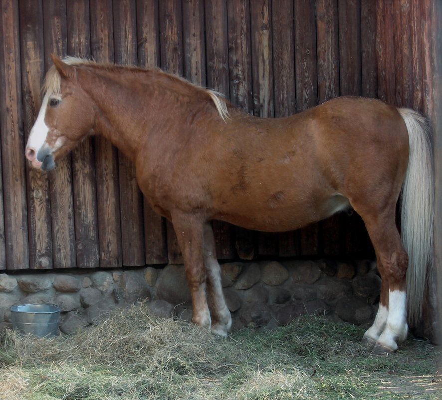 В ожидании - Дмитрий Солоненко В ожидании - Дмитрий Солоненко