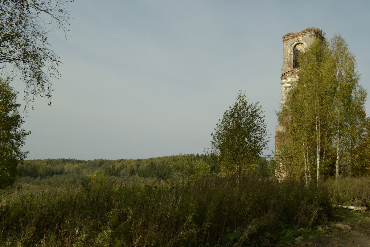 ... - Михаил Жуковский