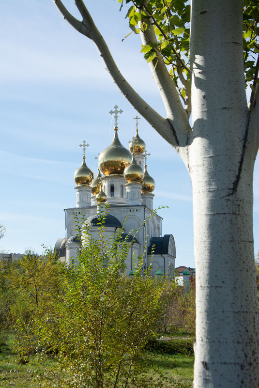 Осень в парке - юрий Амосов