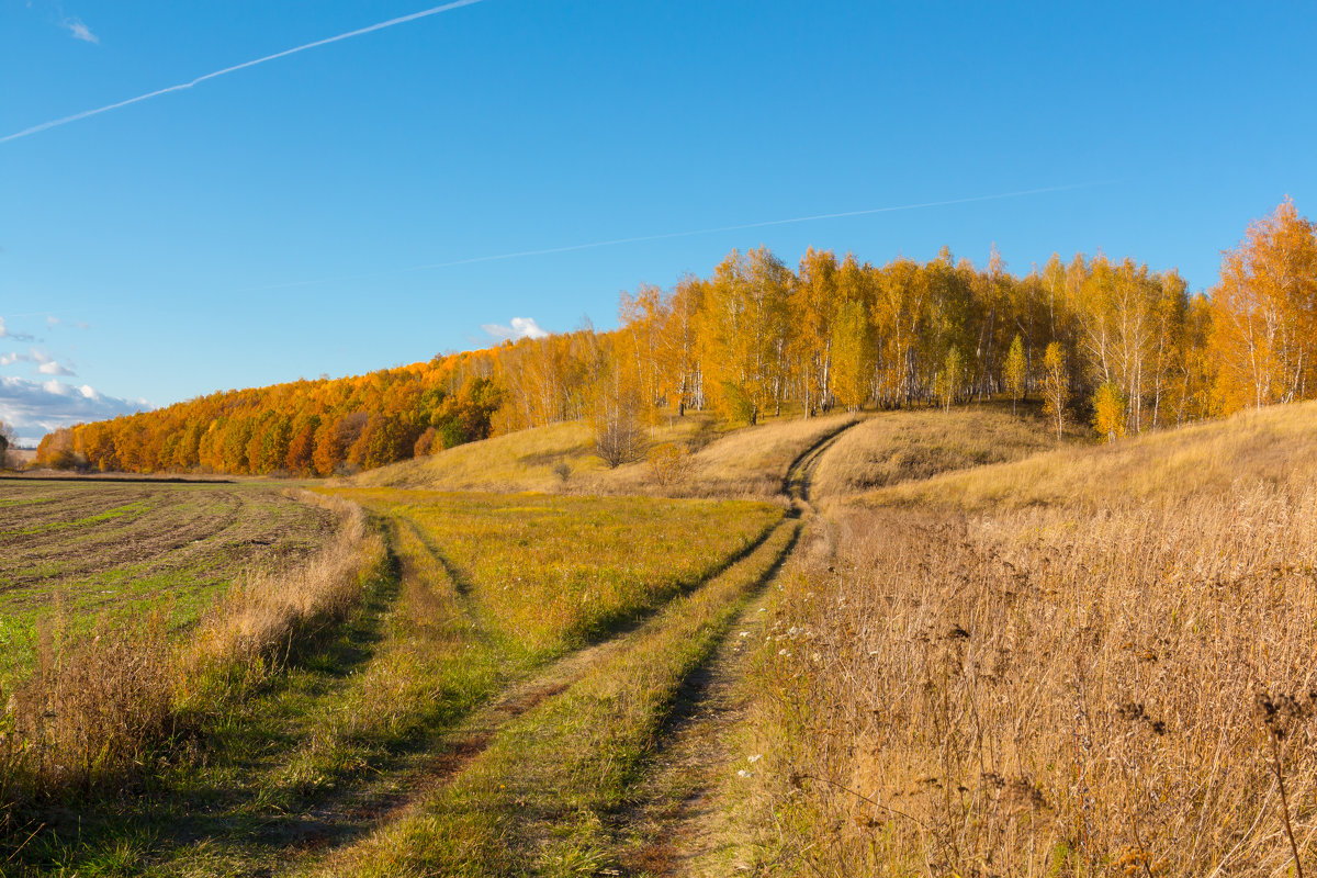 Осенние зарисовки из Нижегородской области - Роман Царев