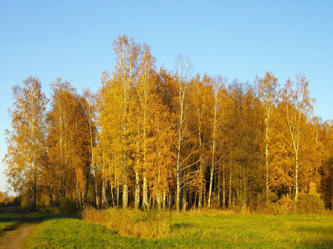 "Осенний свет, к чему слова..." - Лия ☼