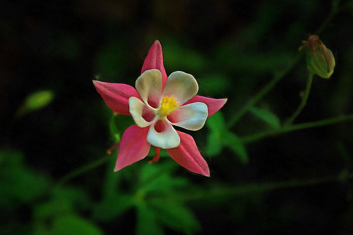 004 - Игорь Гарагуля