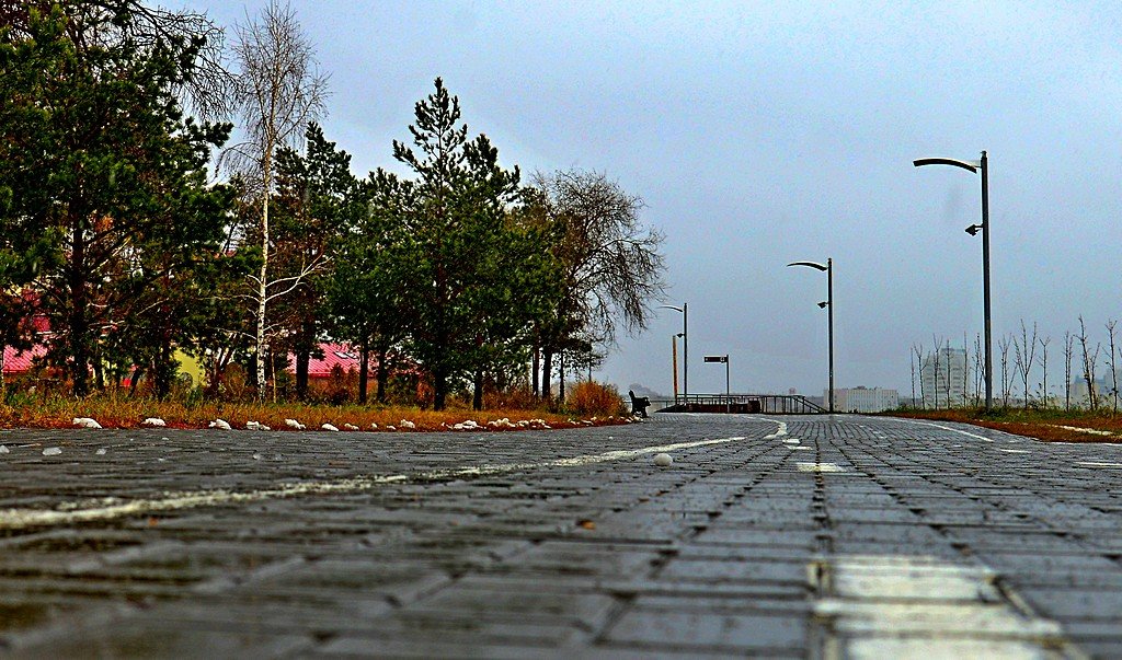 Толи дождь, толи снег... - Дмитрий Иванцов