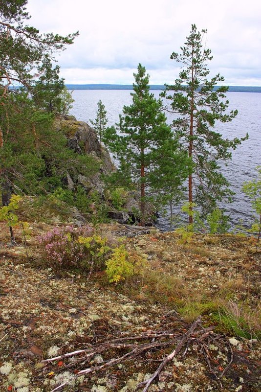 ОСЕНЬ В КАРЕЛИИ НА ОНЕЖСКОМ ОЗЕРЕ - Николай Гренков