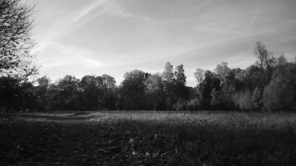 опушка усадьбы Тургенева - Серж Поветкин