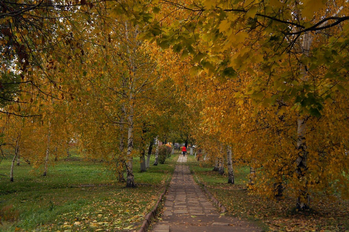 Уходящая в осень... - марк 
