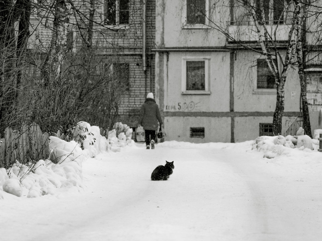 *** - Василий Петрович .