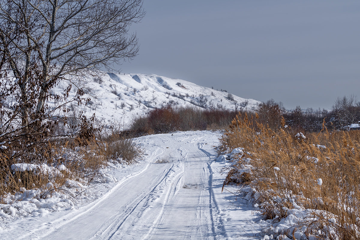 Загородная прогулка - Игорь Сикорский