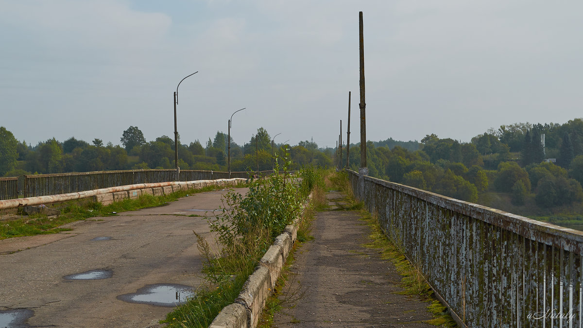 Старый автомобильный мост - Натали Зимина