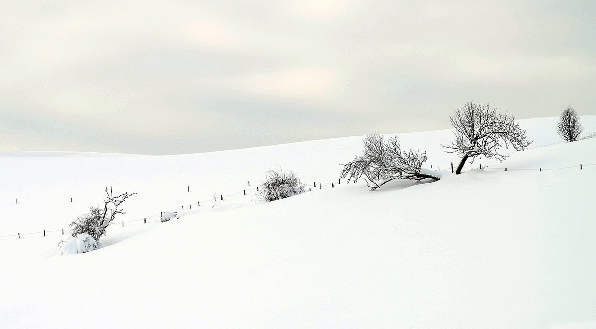 БЕЗМОЛВИЕ - Alexander Andronik БЕЗМОЛВИЕ - Alexander Andronik