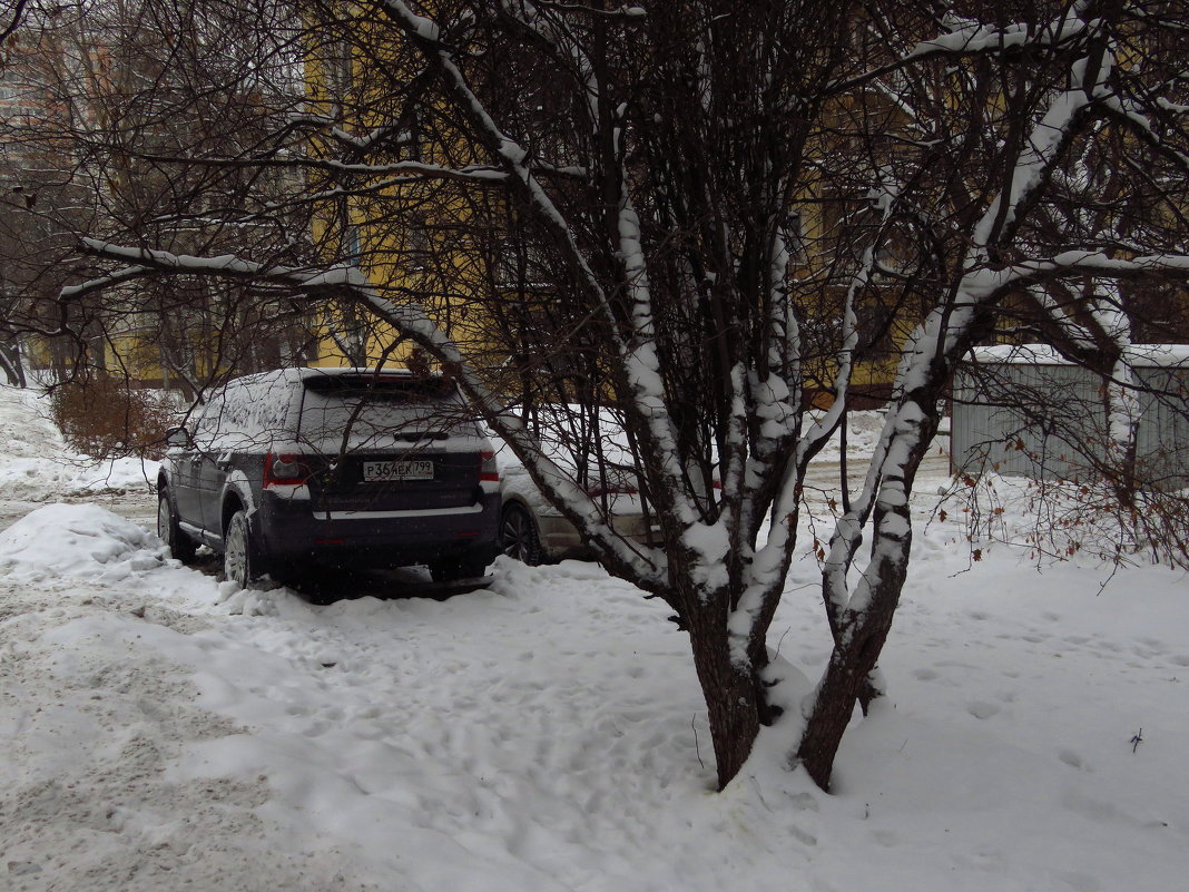 Зима в городе - Андрей Лукьянов