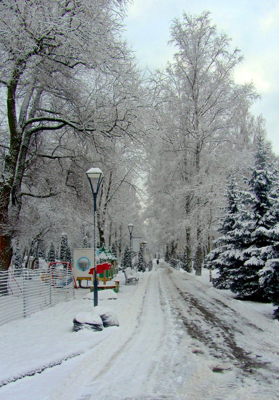 В городском парке - Сергей Карачин