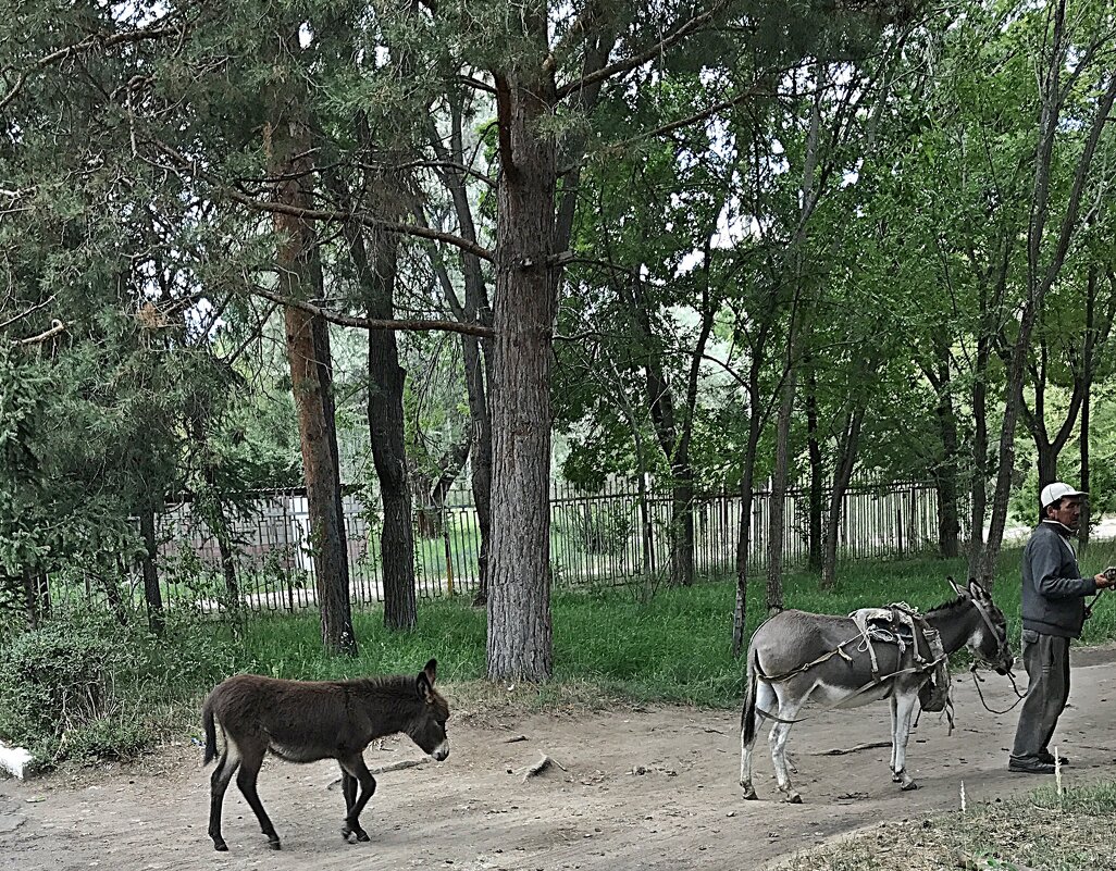 "Мама подожди меня!" - Виталий Селиванов 