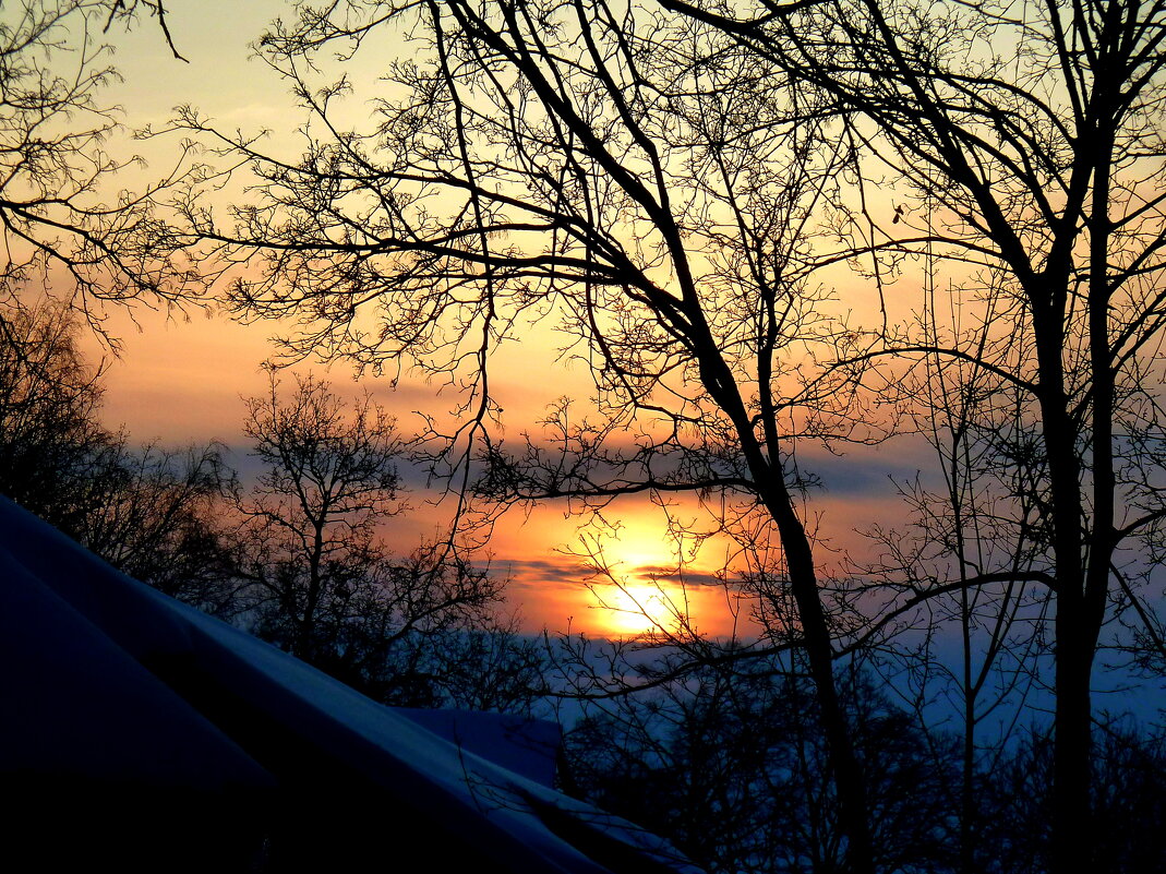 24.03.20 - Рассвет, снятый из окна... - Лидия Бараблина 24.03.20 - Рассвет, снятый из окна... - Лидия Бараблина