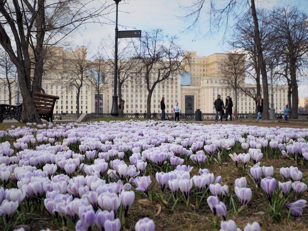 Весна в Москве - Евгений Седов