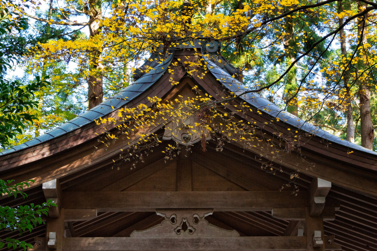 Синтоистский храм Яхико (Yahiko Temple) - slavado 