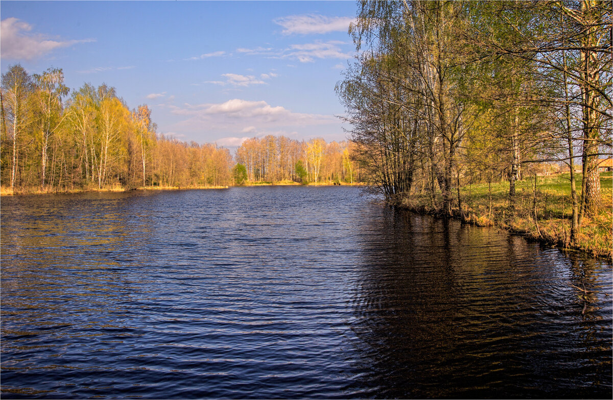 Холодные весенние воды - Владимир Макаров