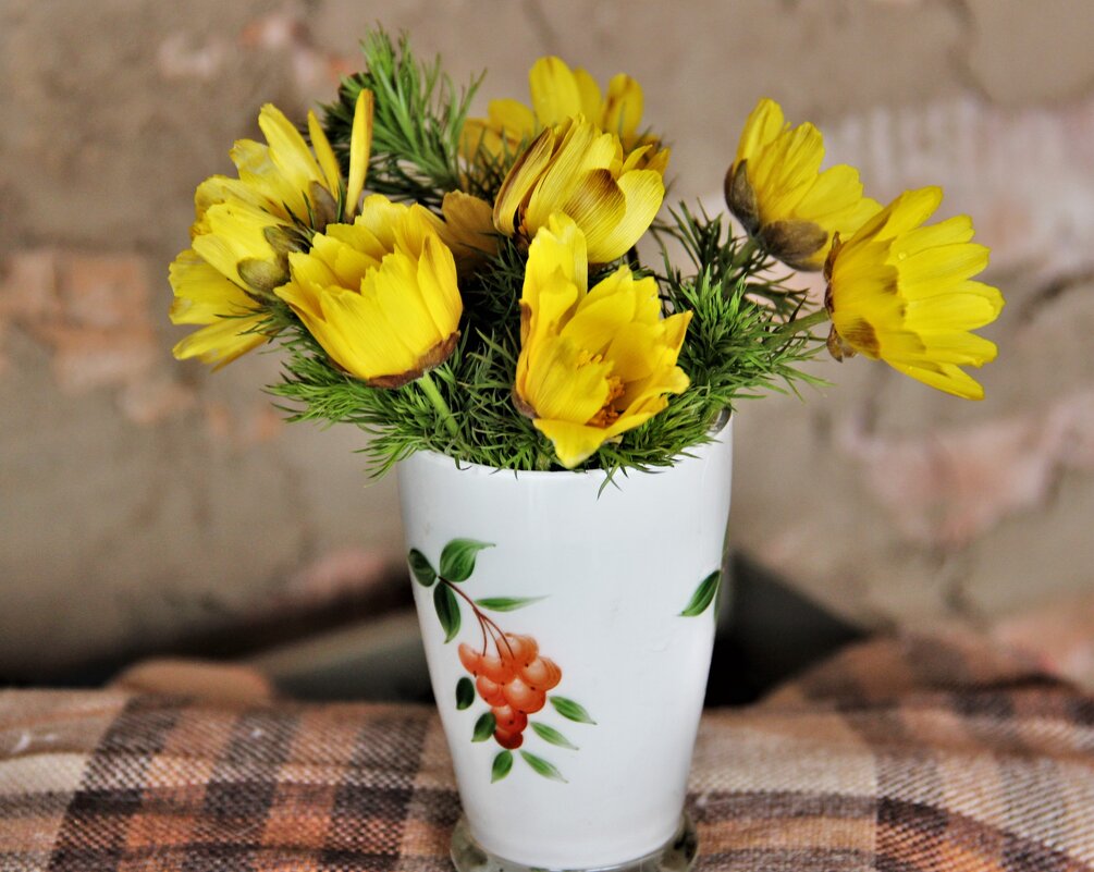 Мои первоцветы. - Венера Чуйкова Мои первоцветы. - Венера Чуйкова