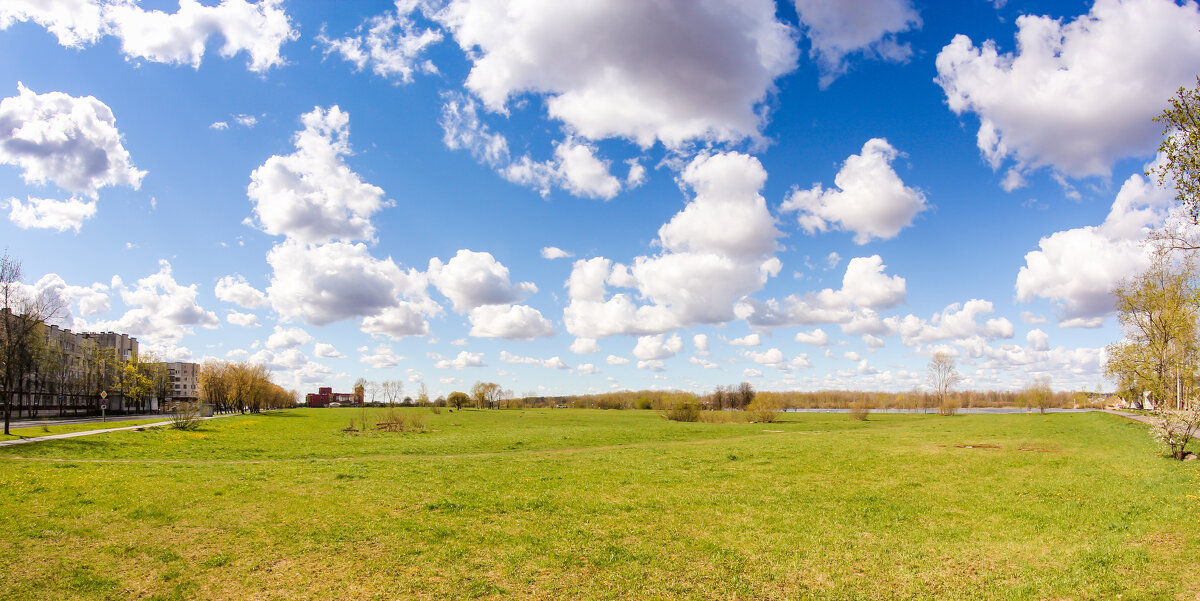 Spring greens under the clouds. - Герман 