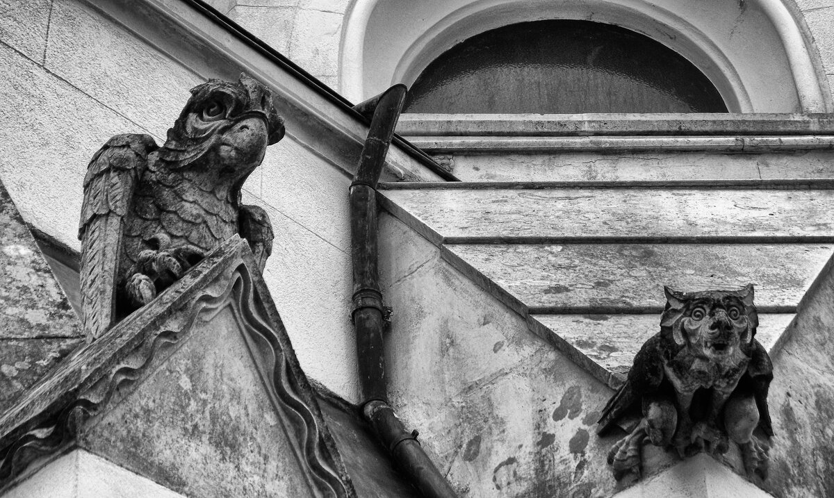 За вами наблюдают... - Elena Ророva За вами наблюдают... - Elena Ророva