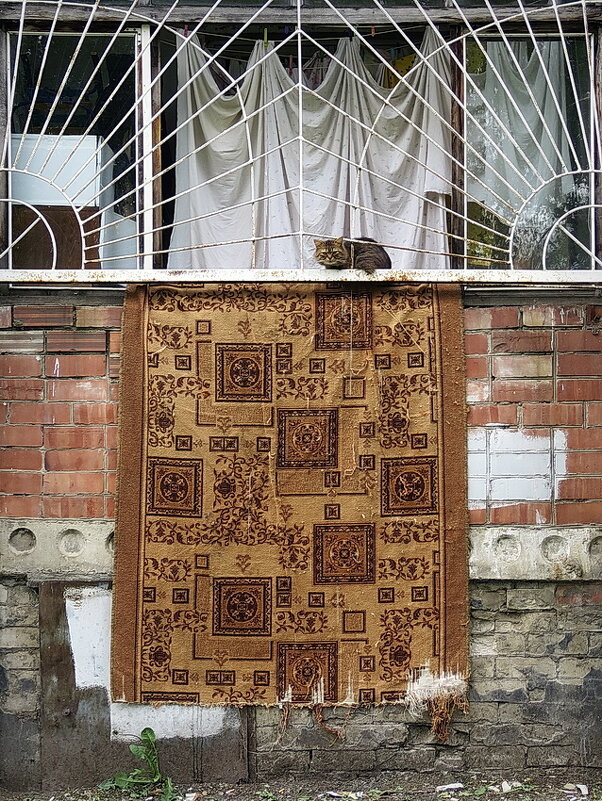 Повседневная жизнь родного Ярославля - Николай Белавин