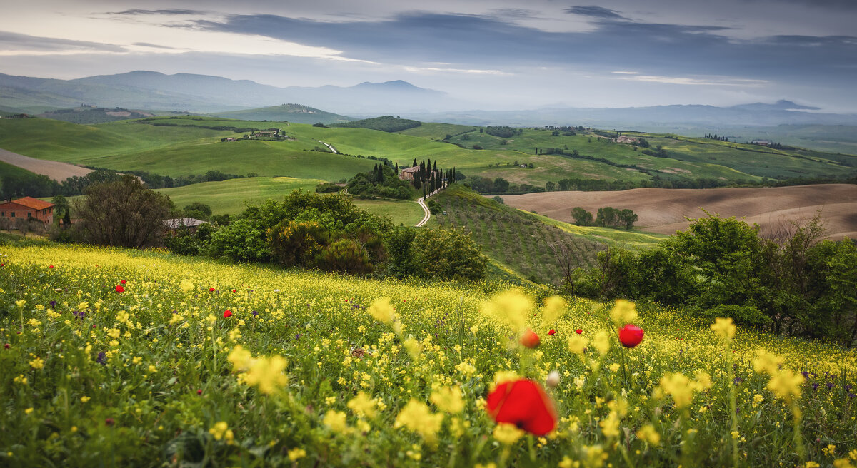 in the Tuscan fields - АБ АБ