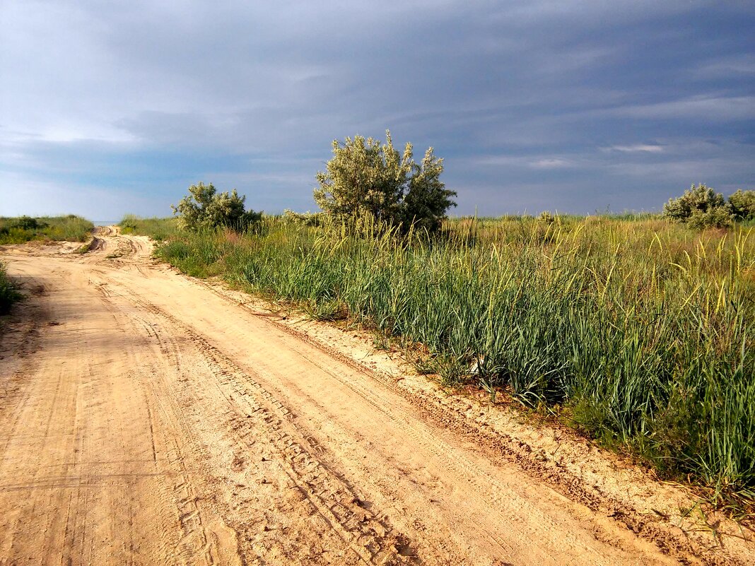 Дорога к морю - Елена Байдакова