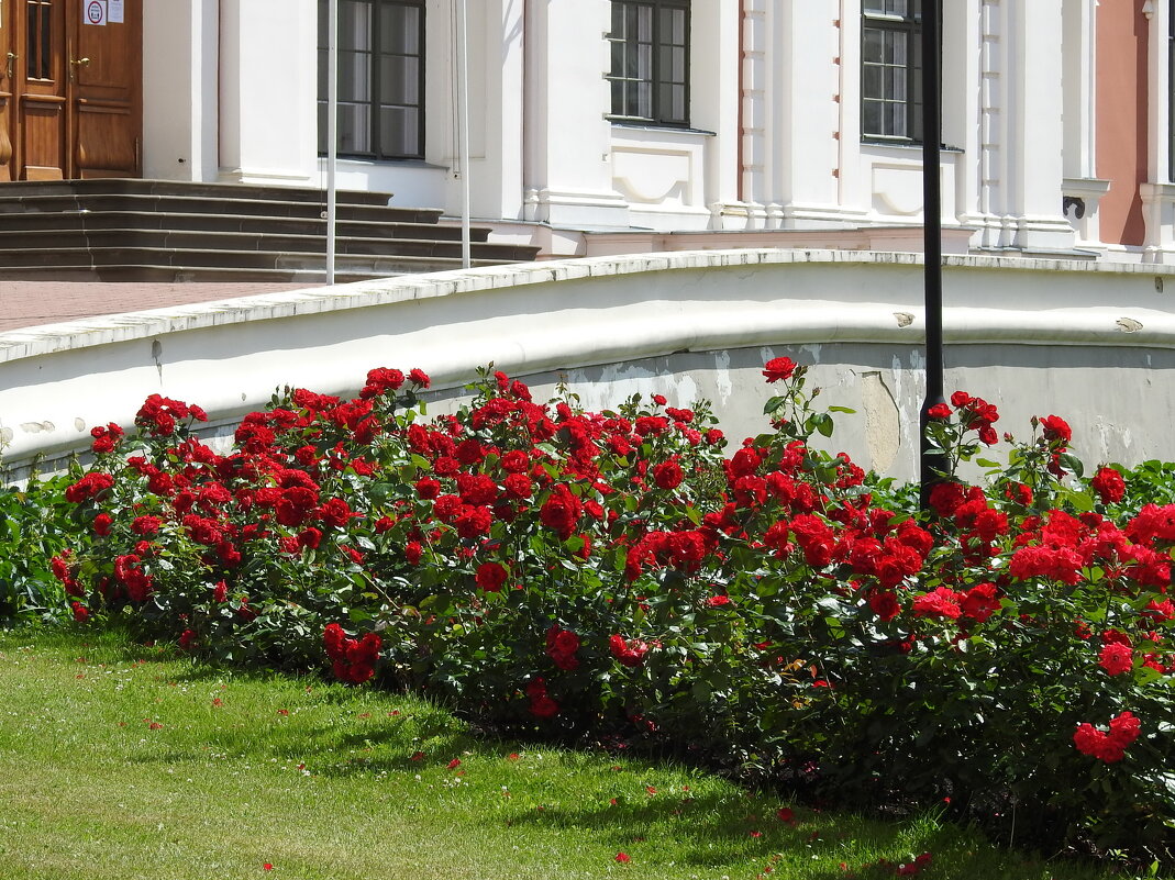 ***** - ИННА ПОРОХОВА