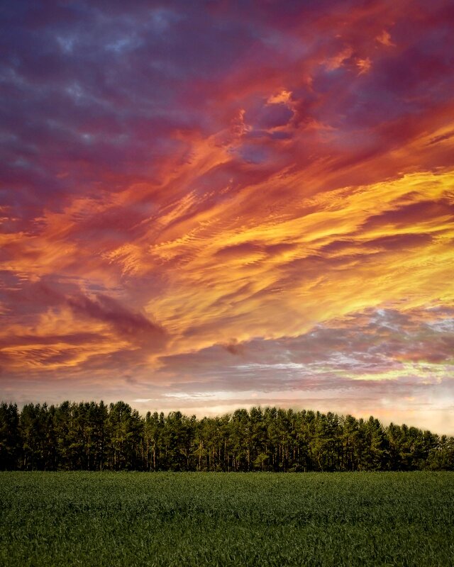 Родные просторы - Ангелина Букина