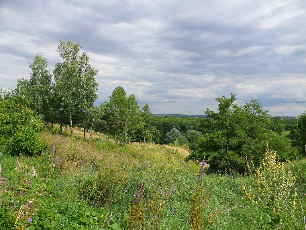 Облачно с прояснениями - MarinaKiseleva 