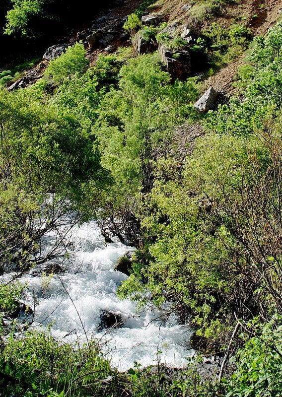 ПРОГУЛКА. - Виктор Осипчук ПРОГУЛКА. - Виктор Осипчук