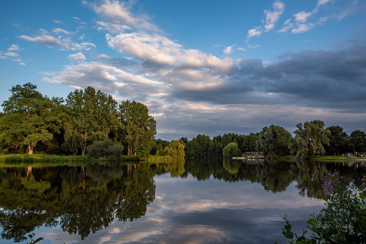 *** - Николай Гирш