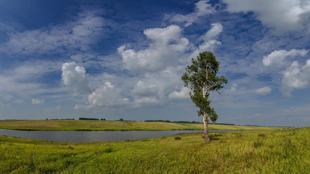 Степное озеро - Виктор Четошников Степное озеро - Виктор Четошников