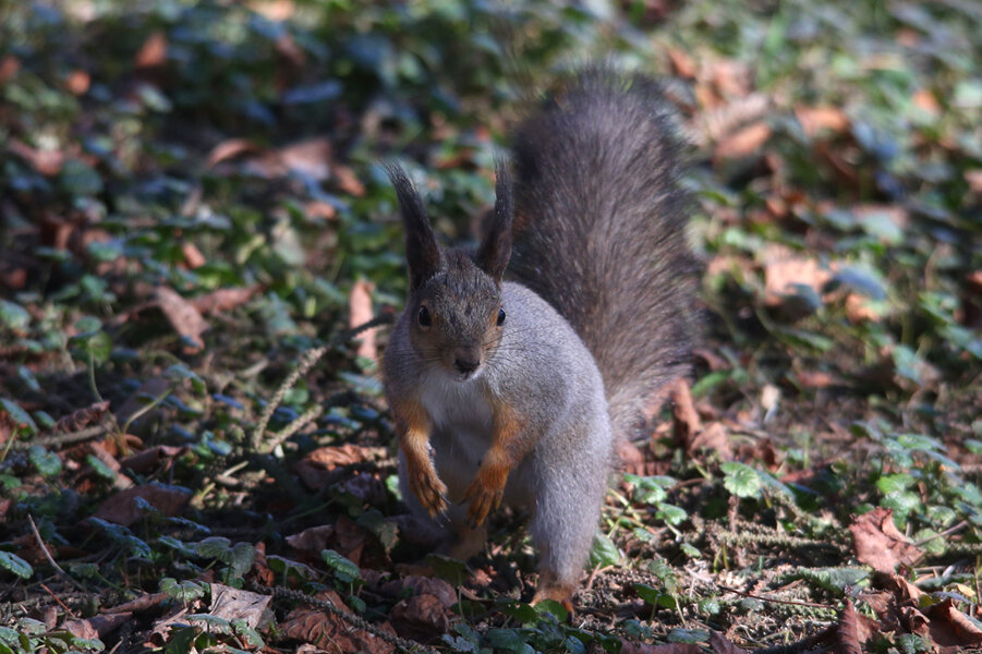 Привет! - Евгений Пермяков