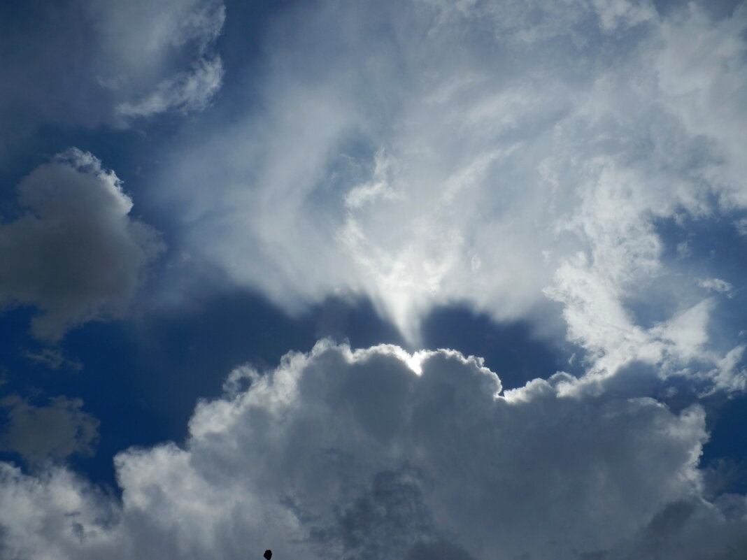 птица-облако Солнце заклевала - Люша птица-облако Солнце заклевала - Люша