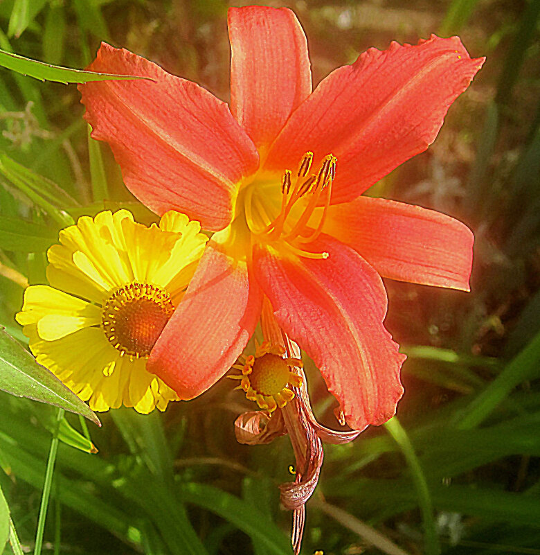 Двое - Елена Семигина