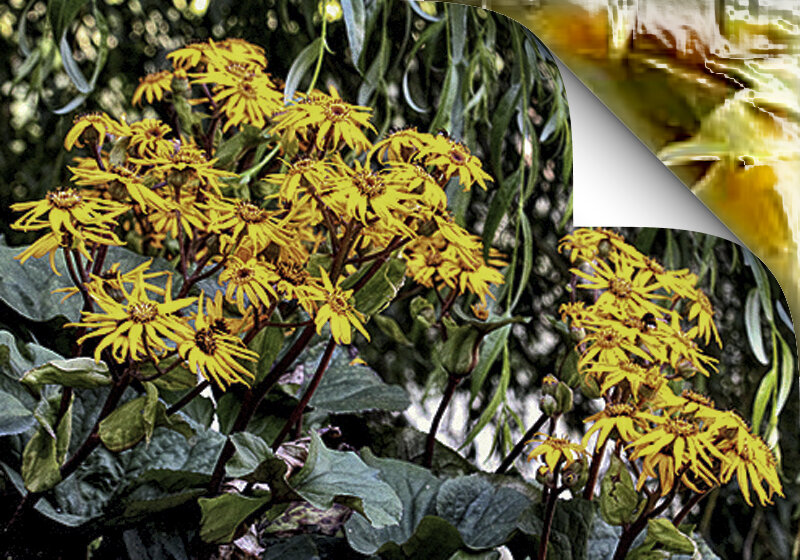 Репетиция осени - Nikolay Monahov