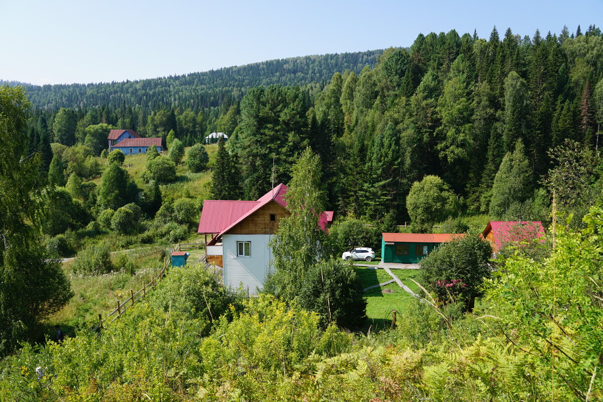 Домики в тайге - Наталия Григорьева
